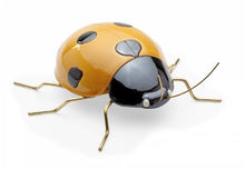 Carica l'immagine nel visualizzatore di Gallery, Insetto ceramica MA300