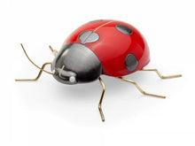 Carica l'immagine nel visualizzatore di Gallery, Insetto ceramica MA300