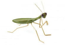 Carica l'immagine nel visualizzatore di Gallery, Insetto ceramica MA300