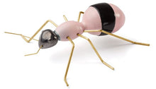 Carica l'immagine nel visualizzatore di Gallery, Insetto ceramica MA300