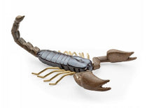 Carica l'immagine nel visualizzatore di Gallery, Insetto ceramica MA300